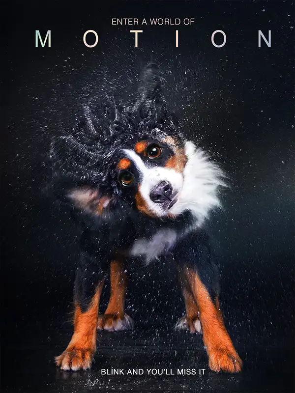 Motion
