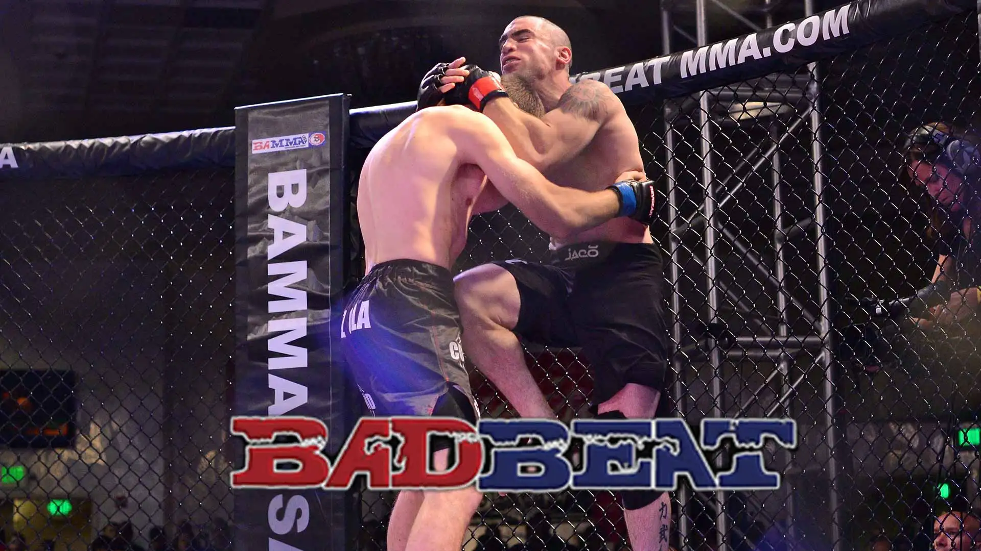 BAMMA BadBeat 7