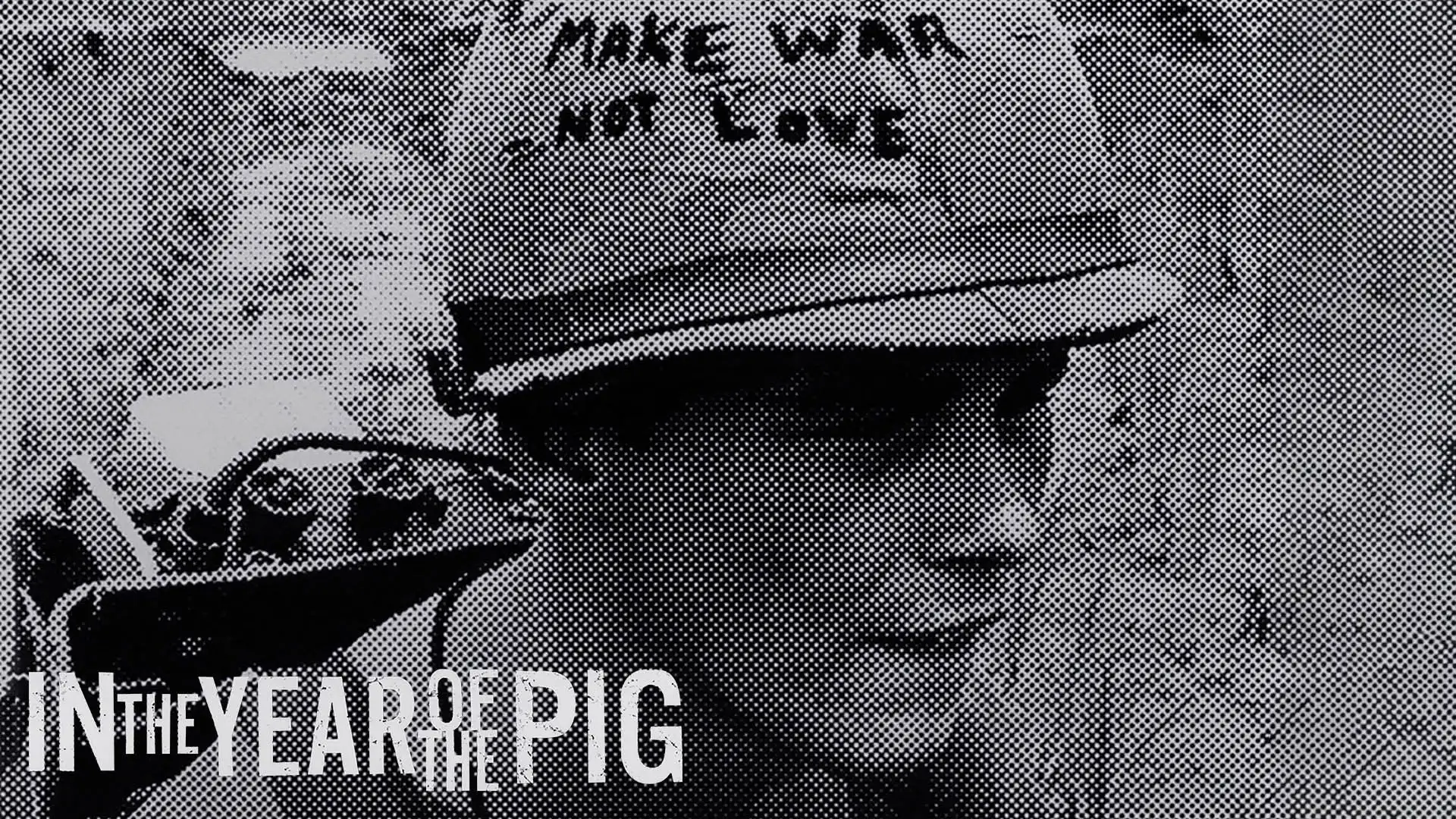 In the Year of the Pig