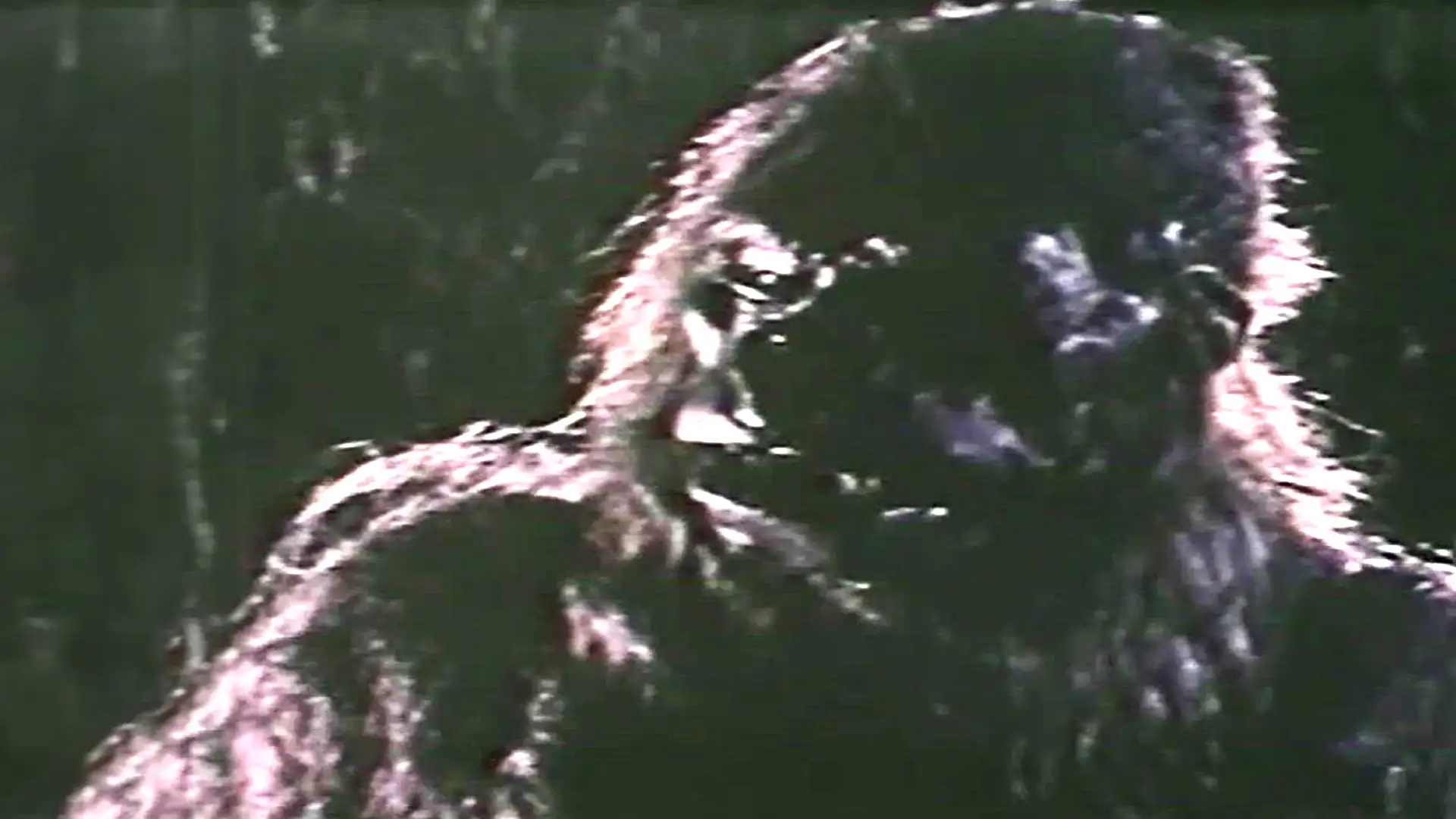 Kong Island- movie poster