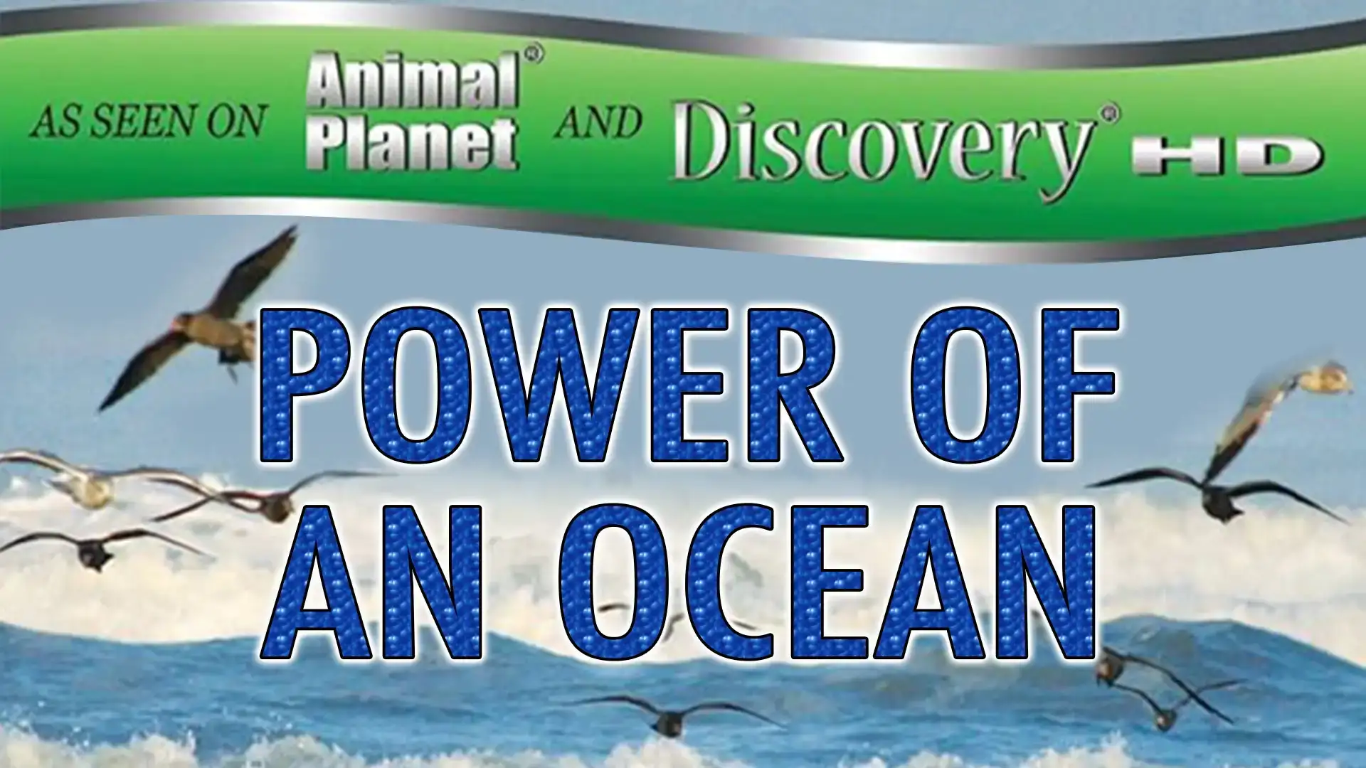 Power of an Ocean