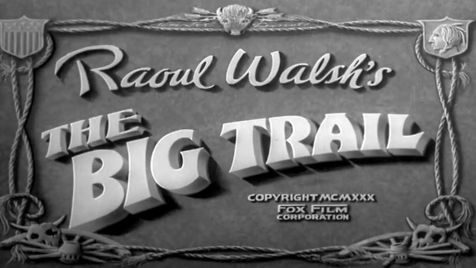movie poster - The Big Trail
