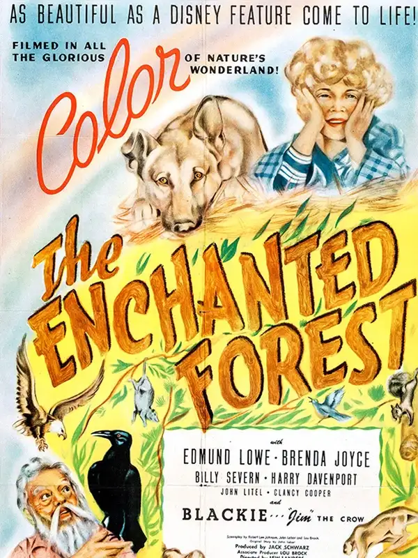 The Enchanted Forest poster