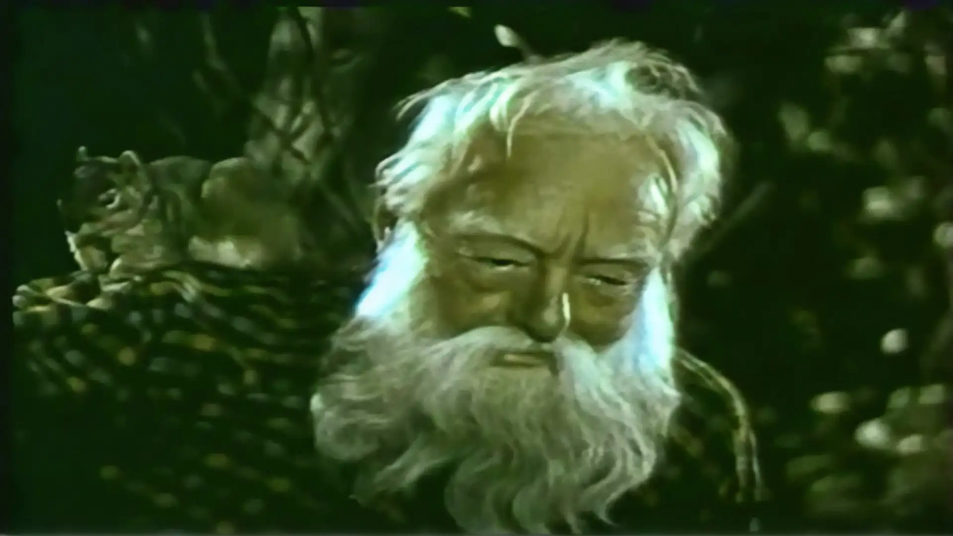 The Enchanted Forest- movie poster