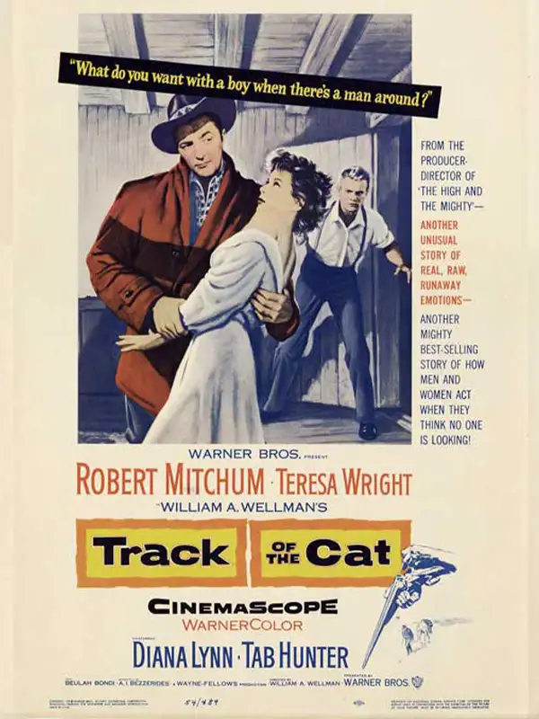 SelectStream Track of the Cat