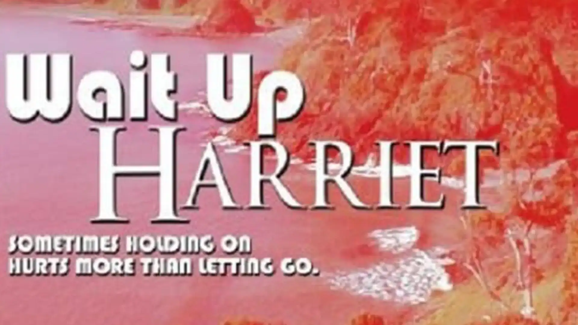 Wait Up Harriet poster