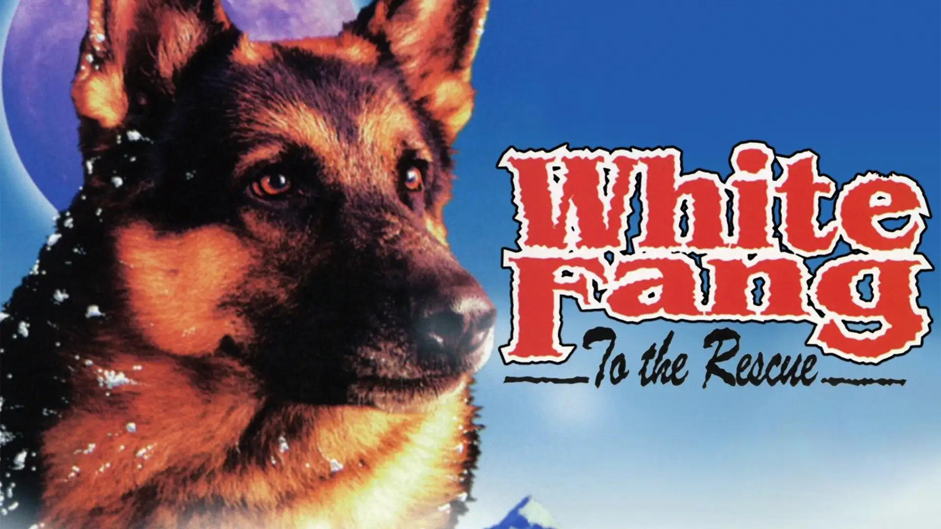 White Fang to the Rescue