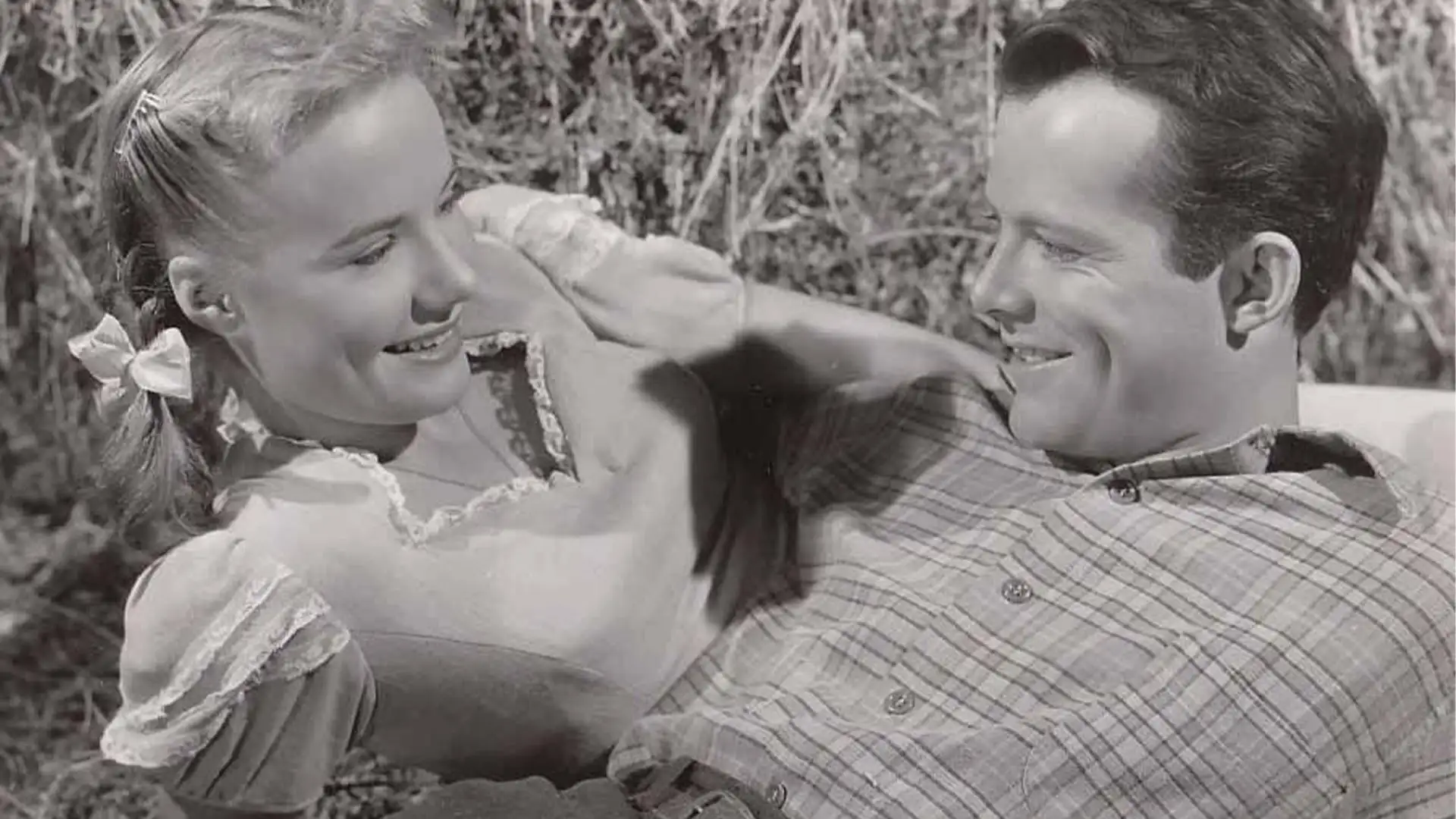 The Big Cat- movie poster