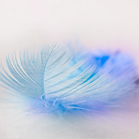 A Cold Wind game cover