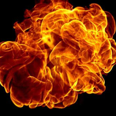 Extreme Action game cover