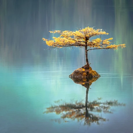 Rain Meditation game cover