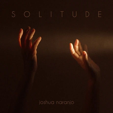 Solitude game cover