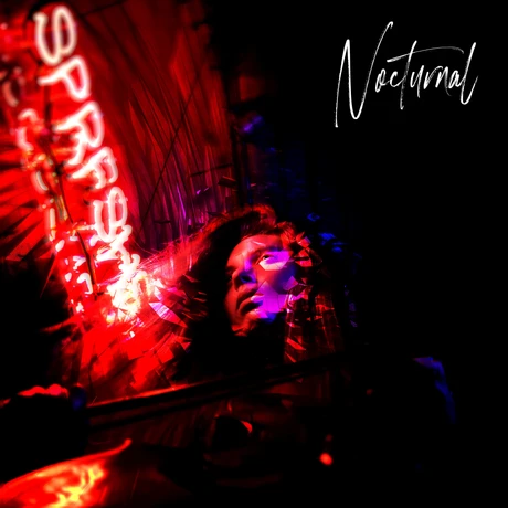 Summer Nights game cover