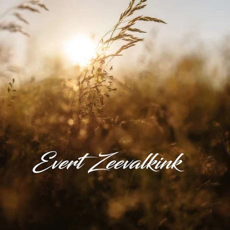 The Girl and the Tree game cover